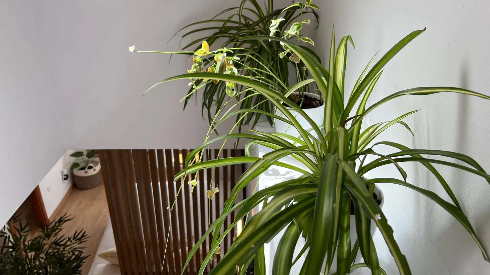 Duplex Con Terraza Privada Y Parking A 15 Minutos De Sevilla Dos Hermanas 0*,  Spain